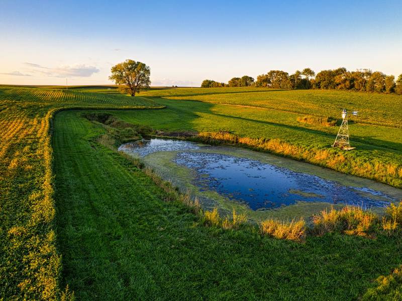 A farm pond surrounded by green grass and fields on a sunny evening
